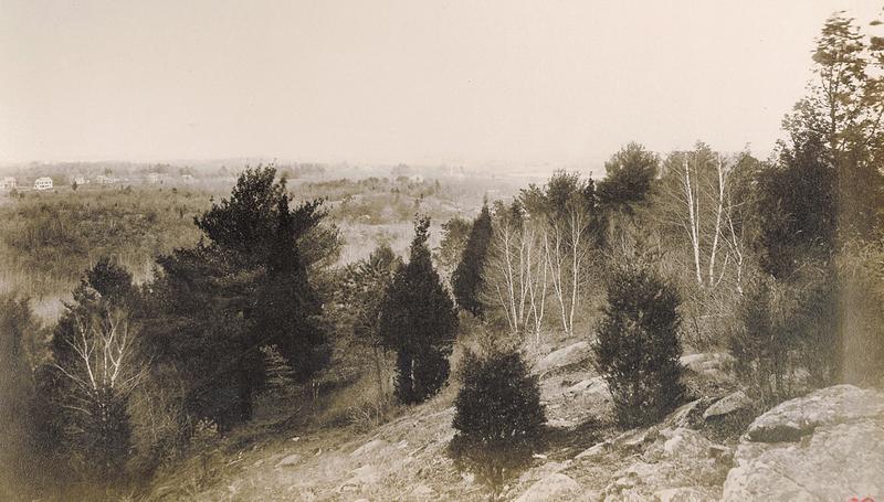 Stebbins_Bear_Hill_view_Web